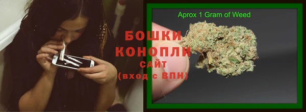 молекула духа Вязники