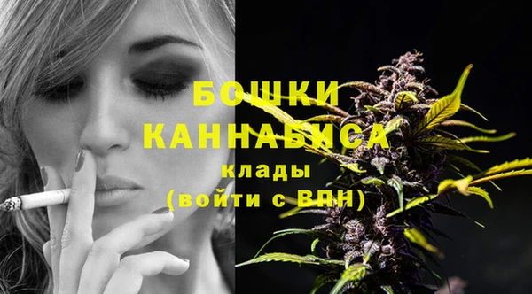 ГАЛЛЮЦИНОГЕННЫЕ ГРИБЫ Вязьма