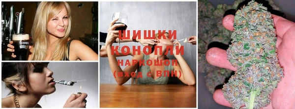 ГАЛЛЮЦИНОГЕННЫЕ ГРИБЫ Вязьма