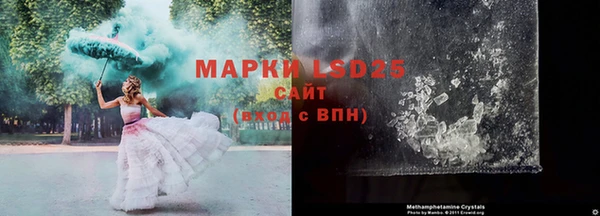 ГАЛЛЮЦИНОГЕННЫЕ ГРИБЫ Вязьма